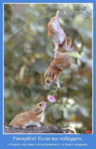 Мотиваторы для поднятия настроения