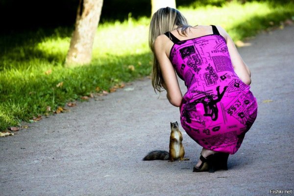 Мотиваторы позитивные смешные