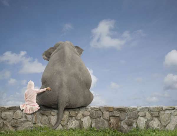 Девочка и слон