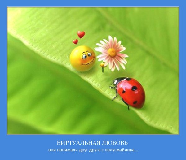 Позитивные открытки для поднятия настроения