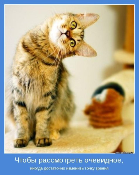 Картинки мотиваторы позитивные