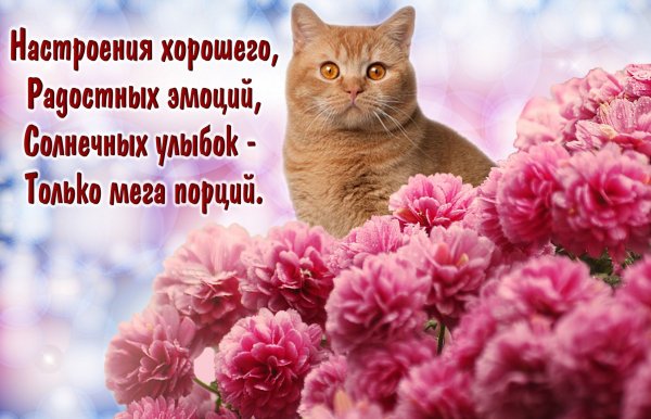 Поздравления с хорошим нас