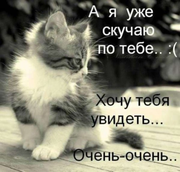 Очень скучаю по тебе