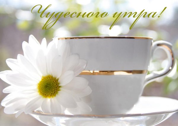 Четверг прекрасного утра и дня