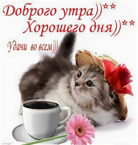 Доброе утро хорошего настроения