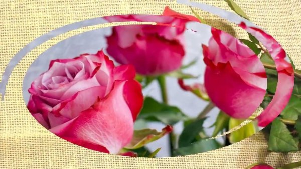 Цветочек девушке для поднятия настроения