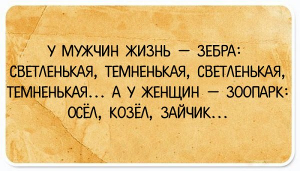 Юмор для мужчин для поднятия настроения про женщин