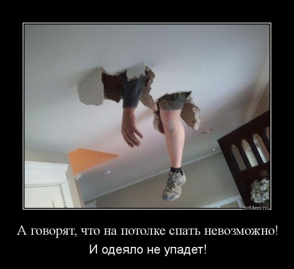 Прикольные демотиваторы для поднятия настроения