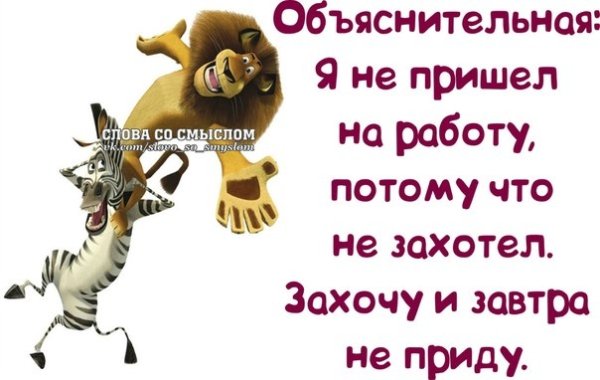 Смешные фразы для поднятия настроен