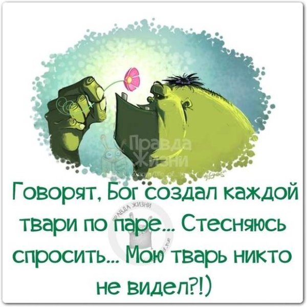 Позитивные статусы для поднятия настроения в картинках