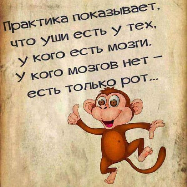 Афоризмы для поднятия настроения