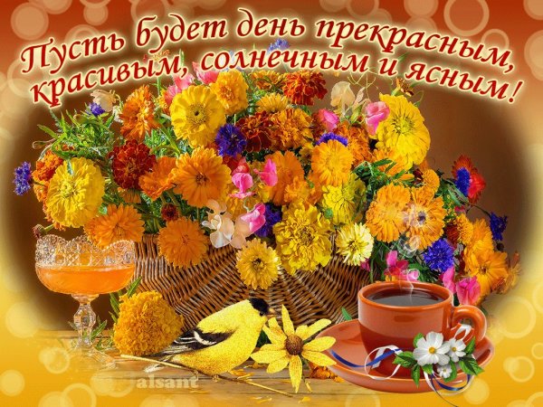 Доброе солнечное утро