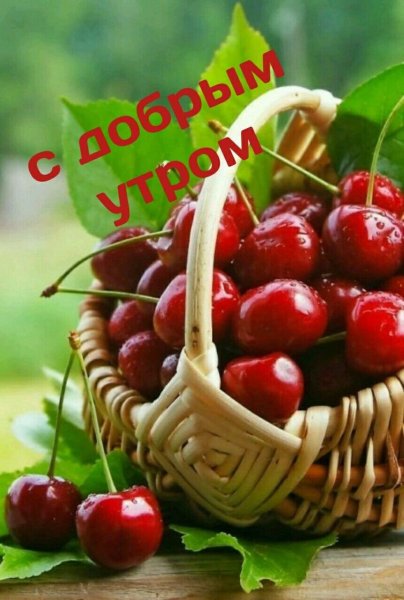 Вкусняшки к чаю