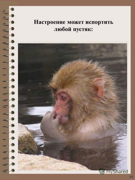 Испорченное настроение