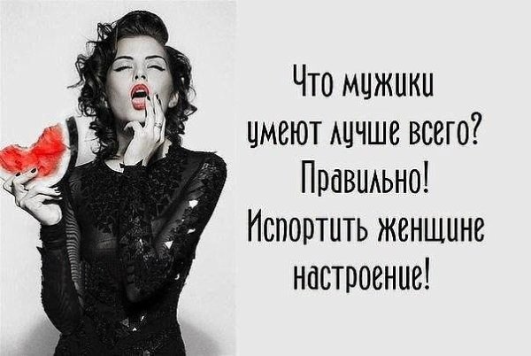 Кот Сплохим носторенме.