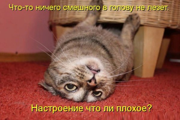 Нет настроения испорти его другим