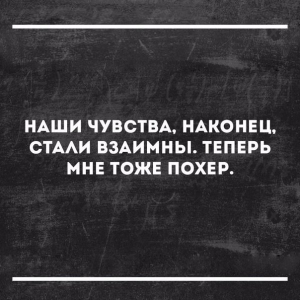 Чем отличается Фея от ведьмы настроением