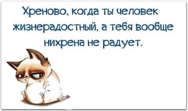 Ничего не хочу цитаты