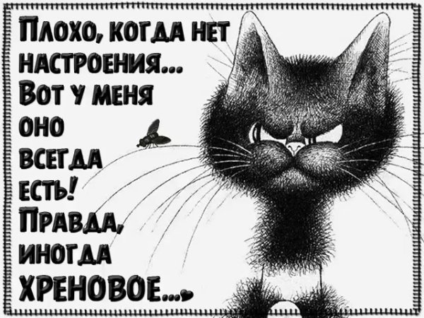 Хреновая жизнь статусы