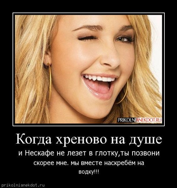 Котоматрица осень