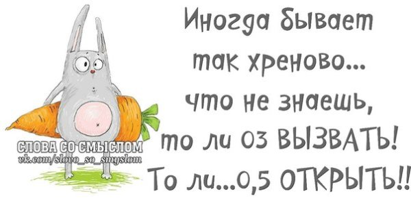 Котики для поднятия настроения