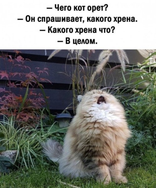 Открытки с поддержкой и поднятием духа
