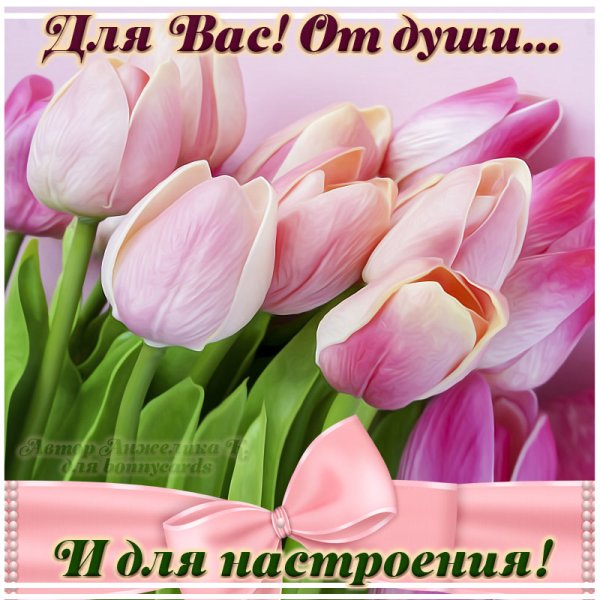 Хорошего дня тюльпаны