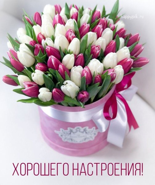 Тюльпаны открытка