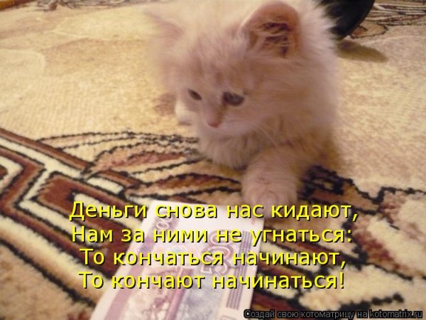 Денюшки Мем