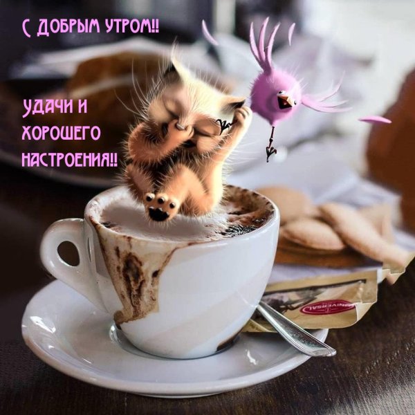 Утро настроение