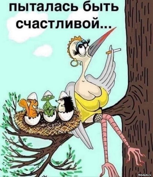 Карикатуры смешные