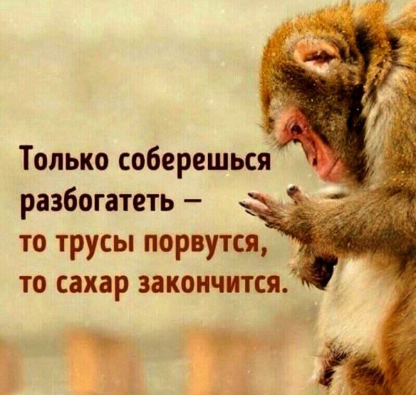 Только соберешься разбогатеть то трусы порвутся то сахар закончится