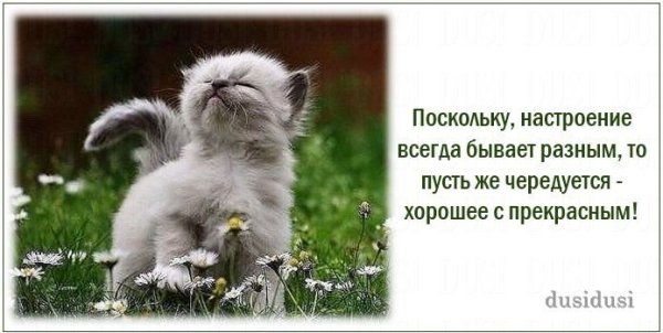 Поскольку настроение всегда бывает разным