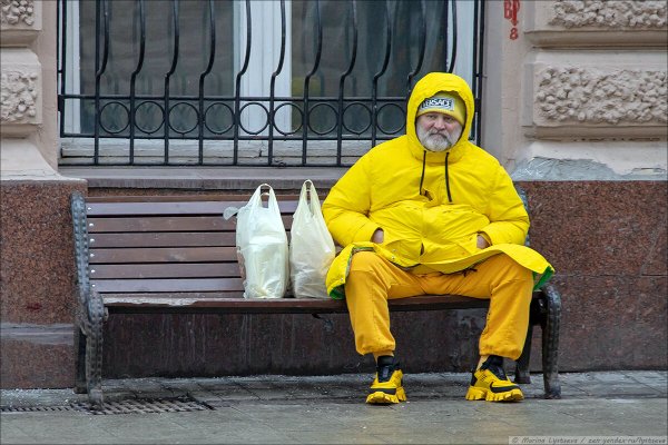 Люди в желтом смешные картинки