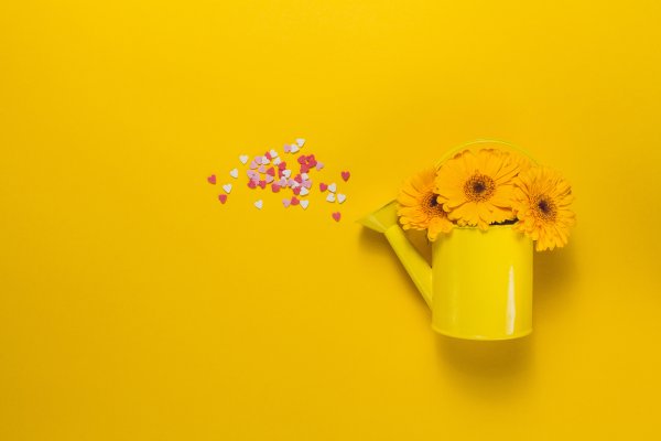 Предметы на желтом фоне