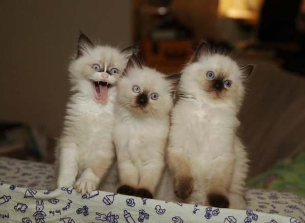 В каждой компании есть такие