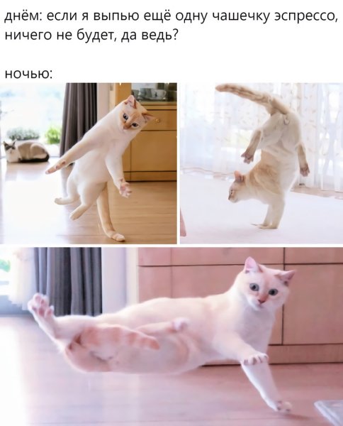 Позитивные приколы для поднятия настроения