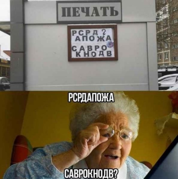 Мемы с котами с надписями ржачные