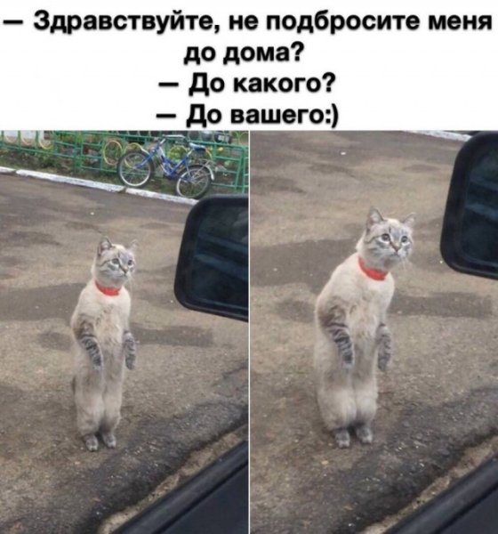 Весеннее настроение