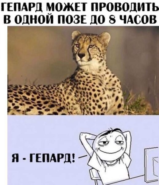 Свадьба сильной и независимой женщины