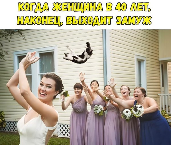 Прикольные картинки для поднятия настроения