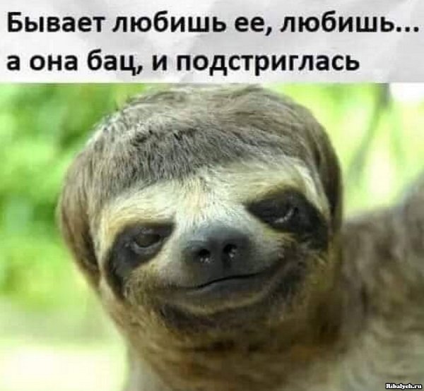 Приколы с текстом