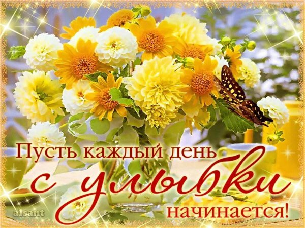 Прекрасного солнечного дня