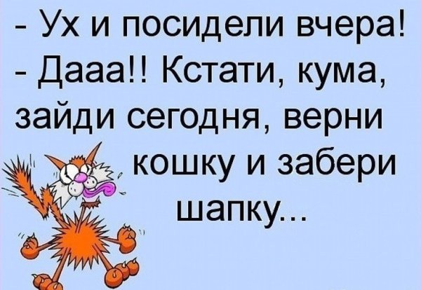 Шутки про кума