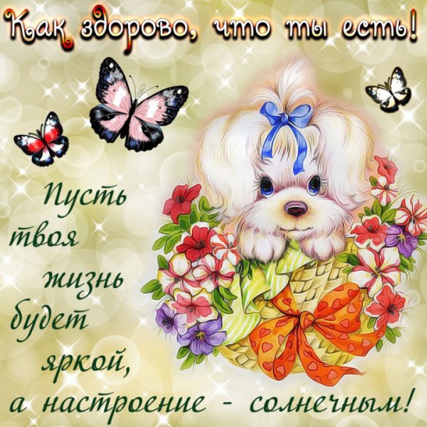 Букеты ромашек с пожеланиями
