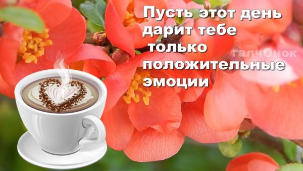 Пожелания хорошего дня и здоровья