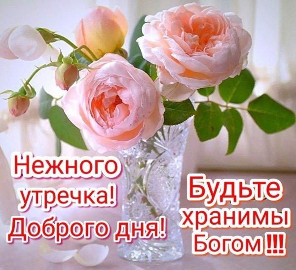 Прекрасного самочувствия и настроения