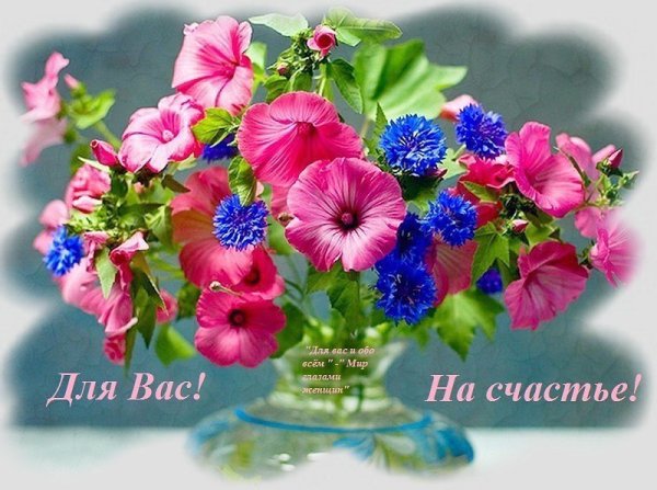 Цветы пожелания здоровья счастья