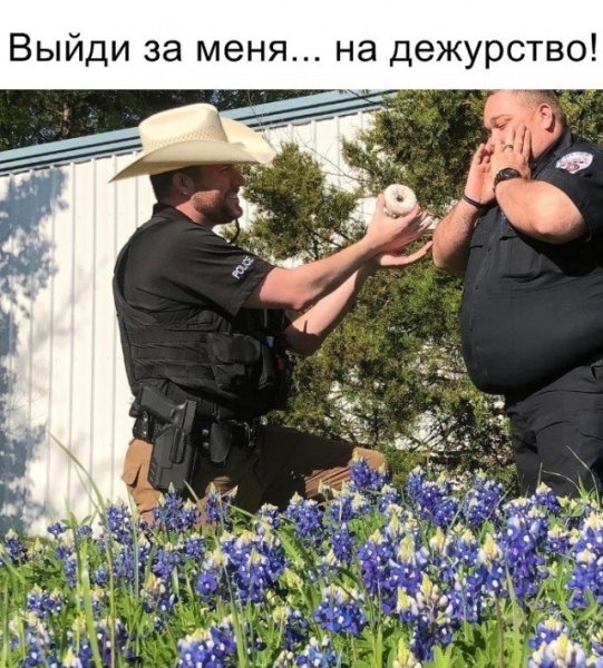 Приколы про цветы