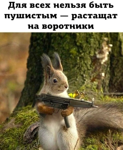 Для всех нельзя быть пушистой растащат на воротники